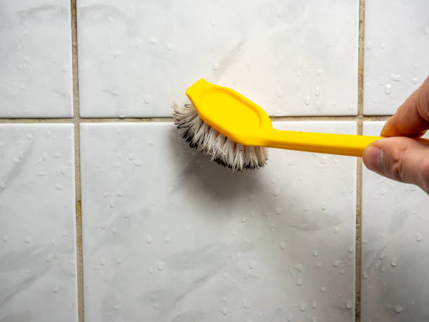 Best Mold Remediation  in Farmers Branch, TX
