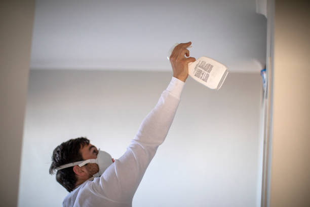 Best Commercial Mold Removal  in Farmers Branch, TX